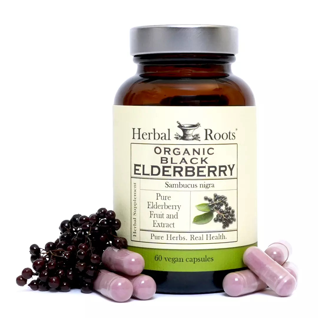 Black Elderberry Organic