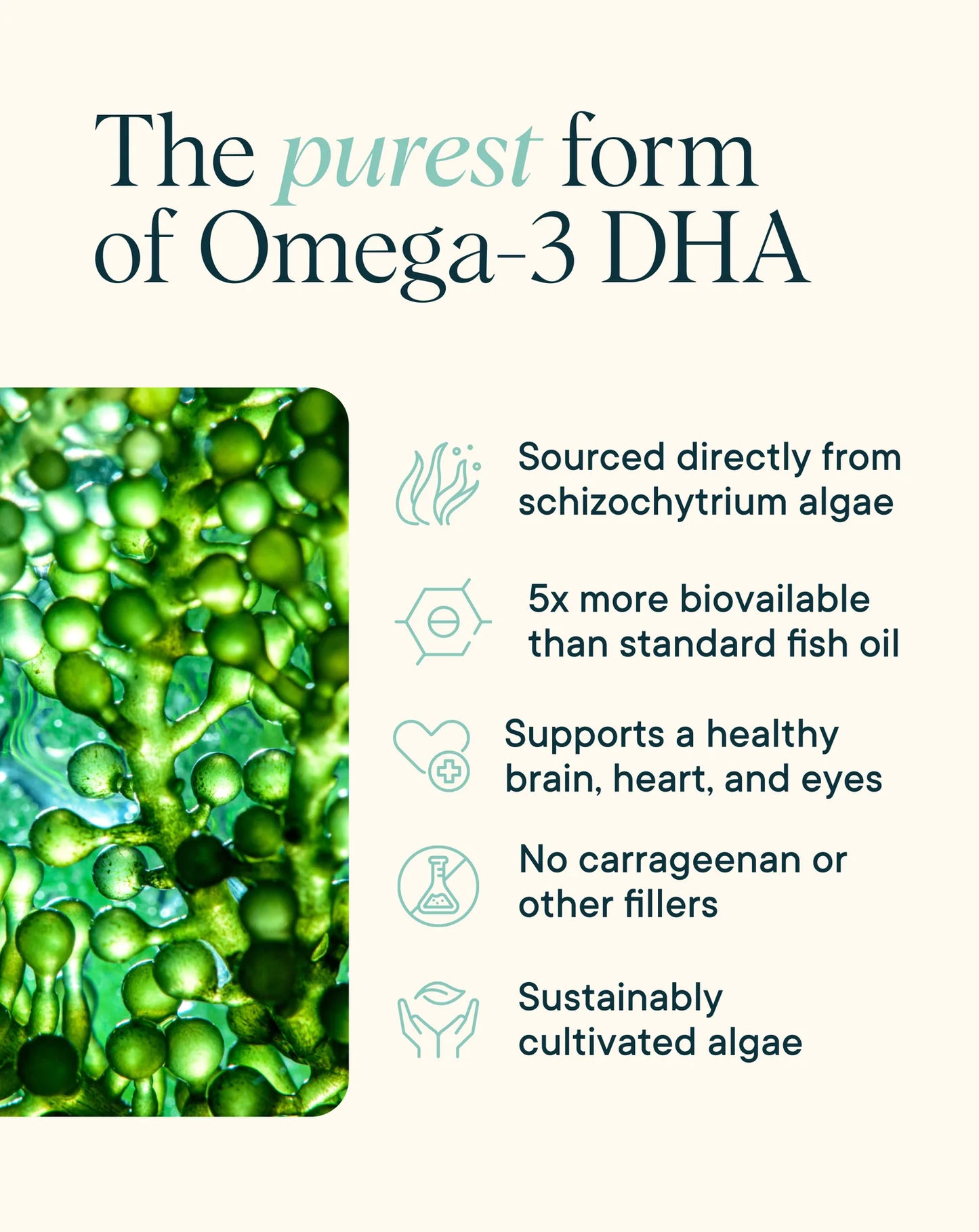 Head & Heart Omega-3