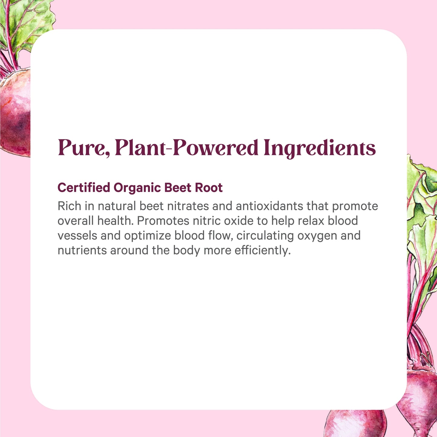 Beet Juice Powder Organic