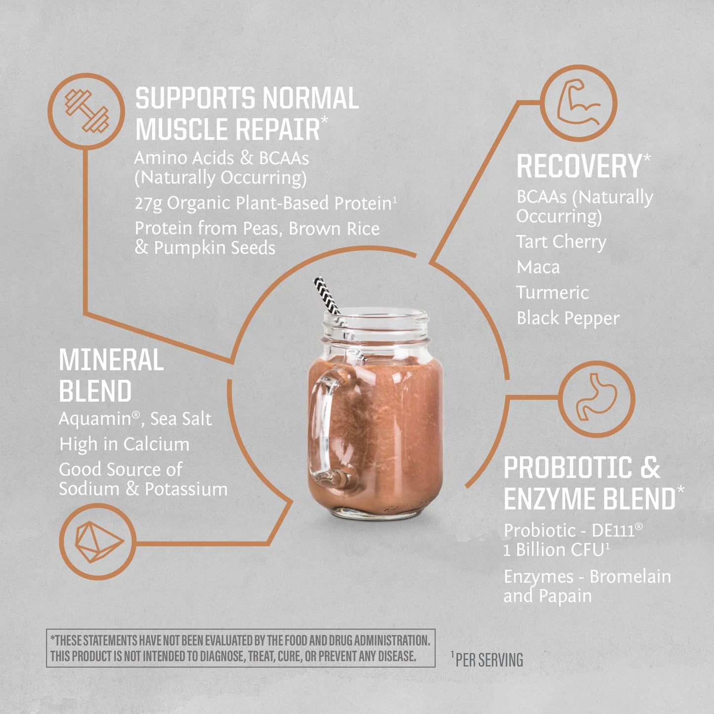 Sunwarrior Active Protein Chocolate Peanut Butter Powder Organic