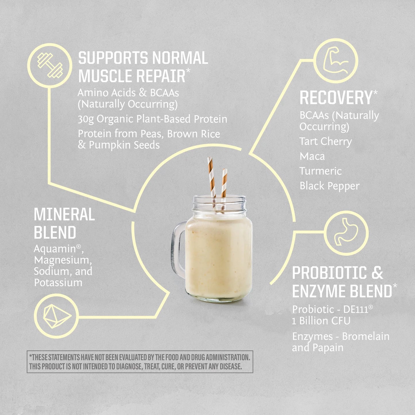 Sunwarrior Active Protein Vanilla Powder Organic