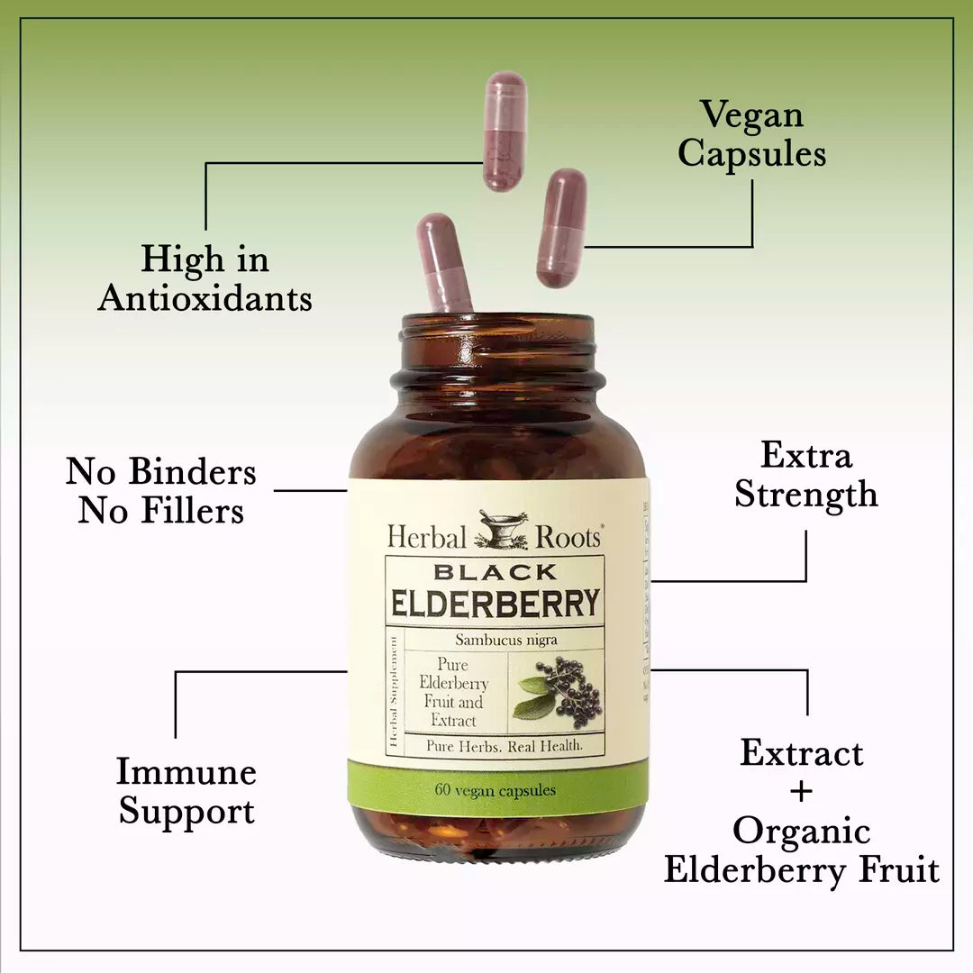 Black Elderberry Organic