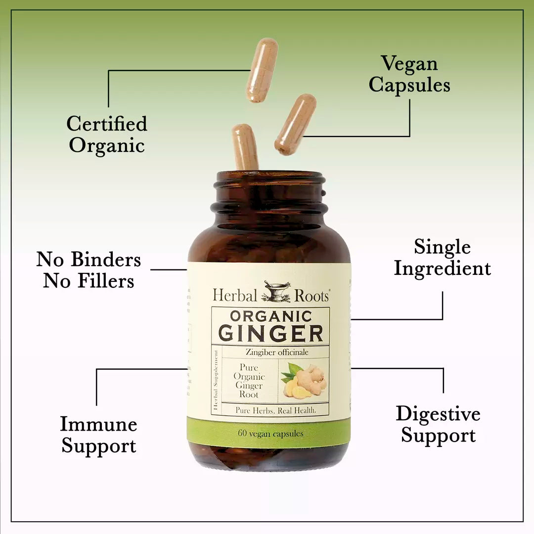 Ginger Root Organic