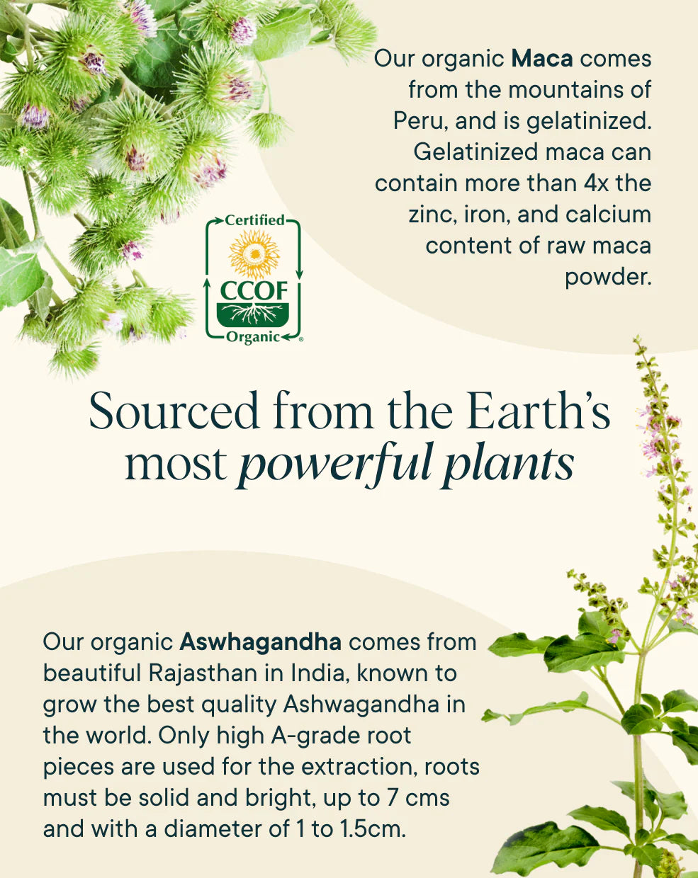 Hormonious Hormonal Balance & Support Organic