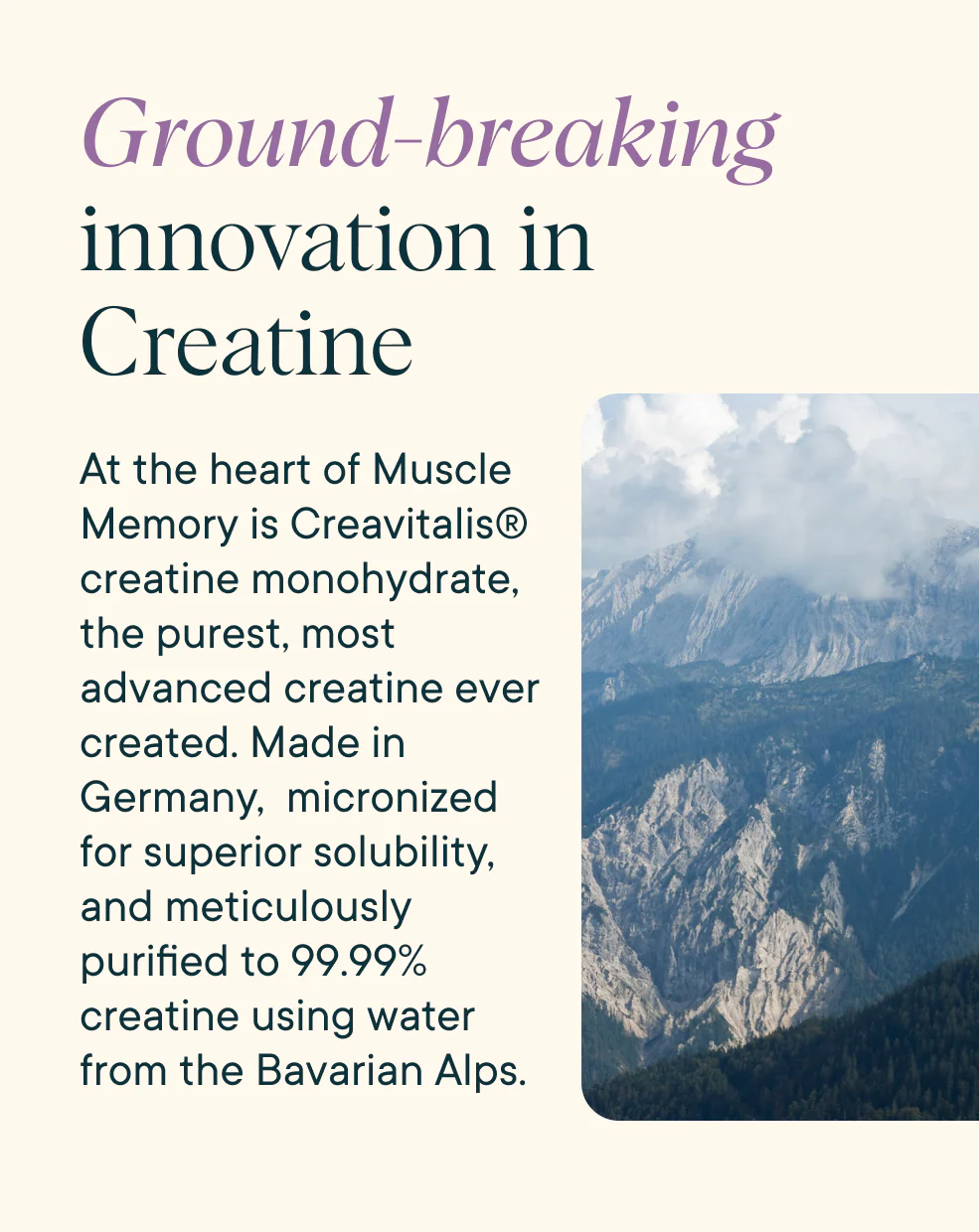 Muscle Memory Creatine Monohydrate