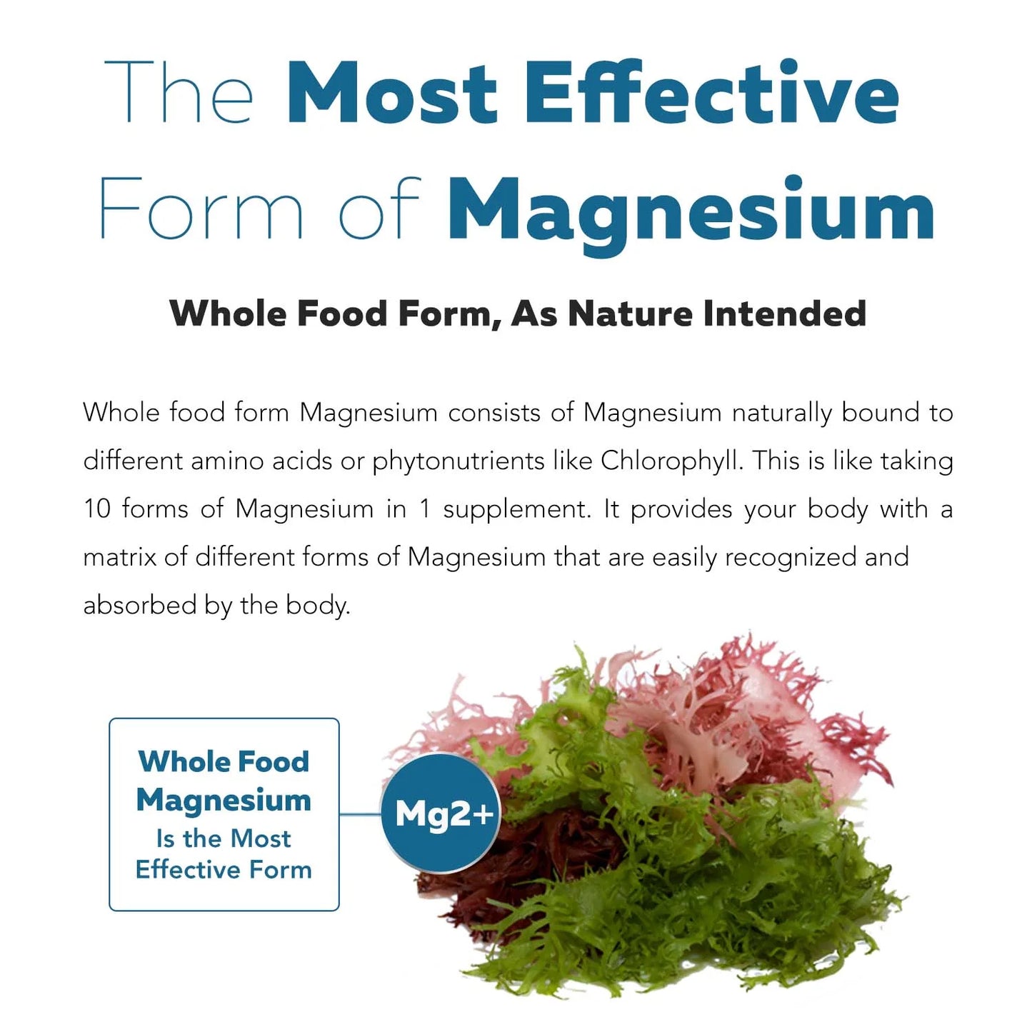 Magnesium Sea Vegetable Complex Organic