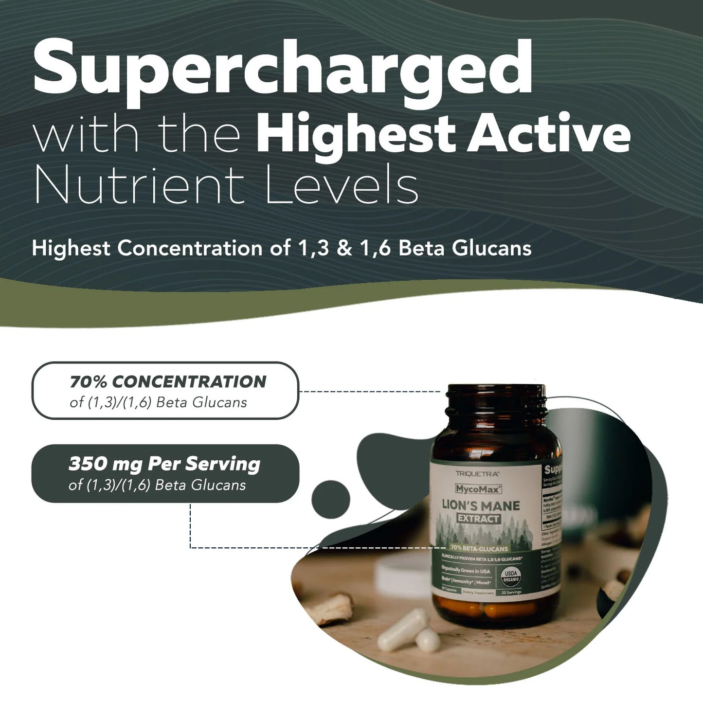 MycoMax Lion's Mane Mushroom Extract Organic