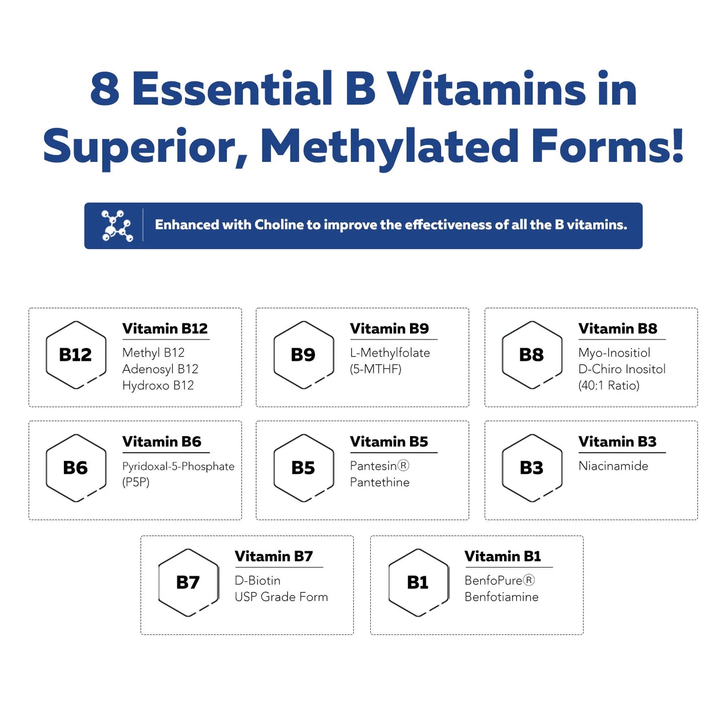 BioActive Vitamin B-Complex