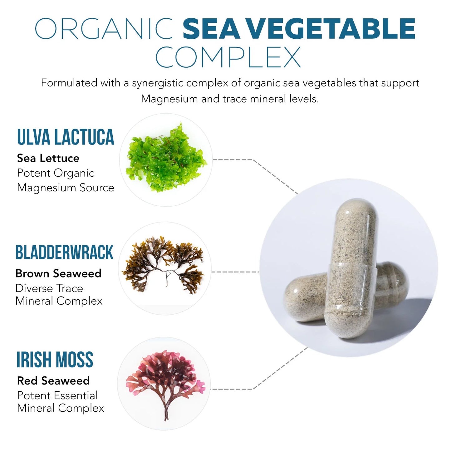 Magnesium Sea Vegetable Complex Organic