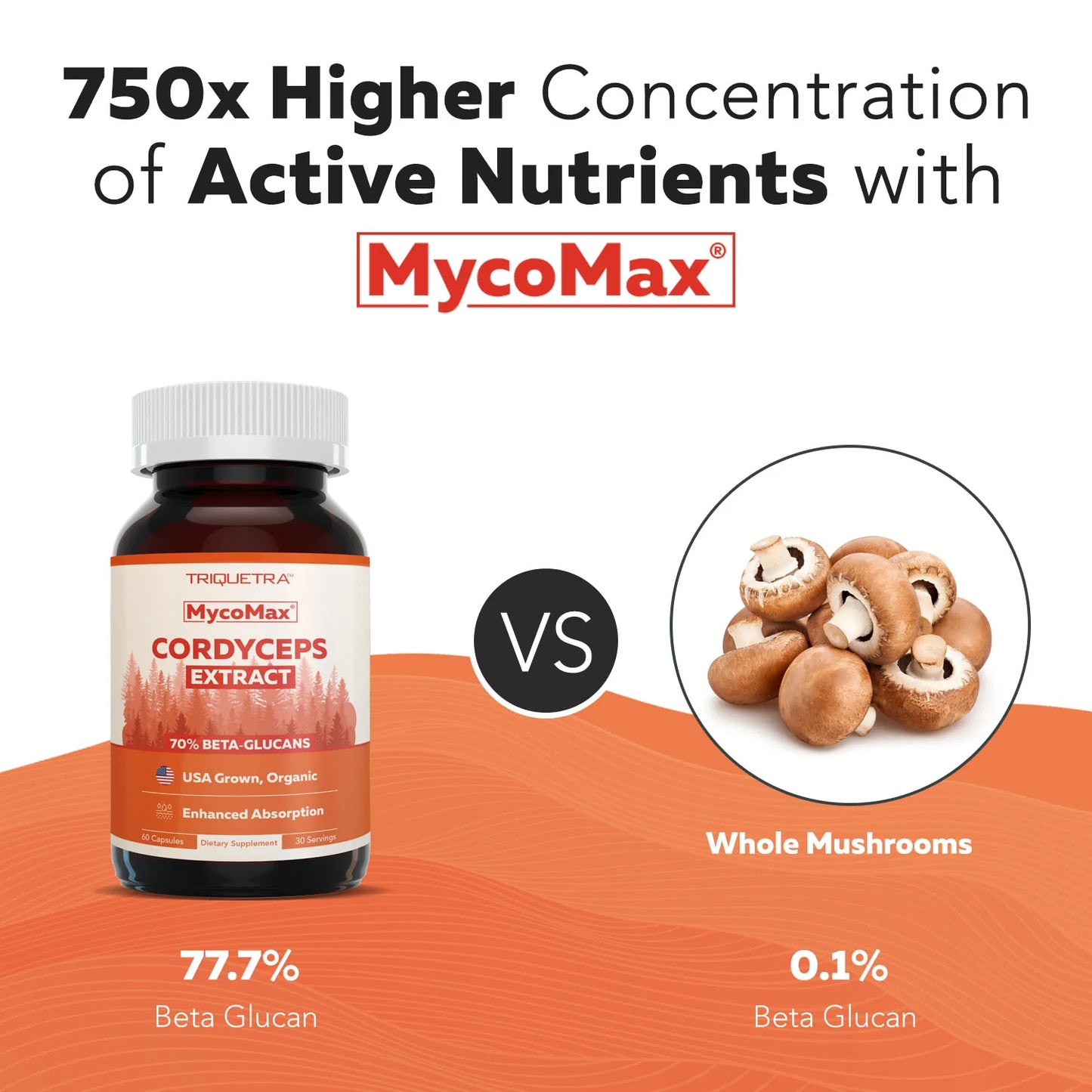 MycoMax Cordyceps Mushroom Extract Organic