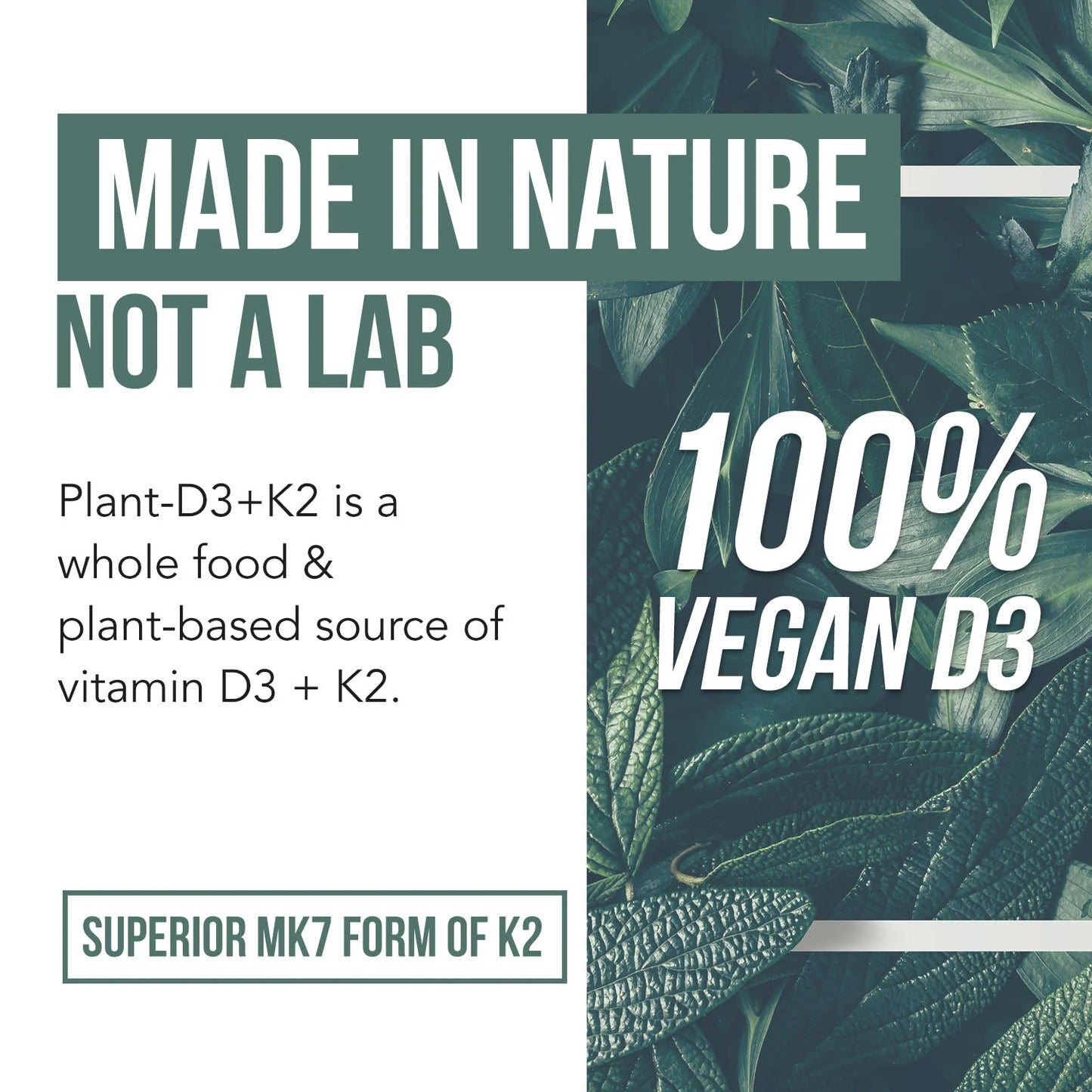 D3 + K2 10,000 IU Organic