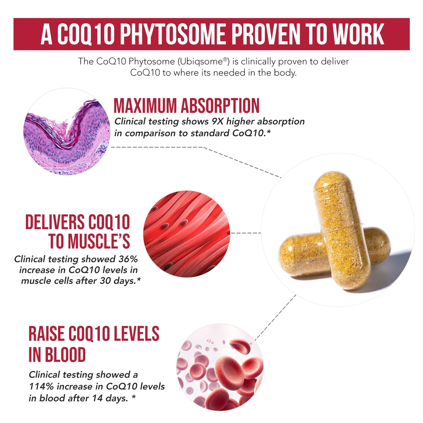 SoActive CoQ10 Phytosome Ubiqsome®