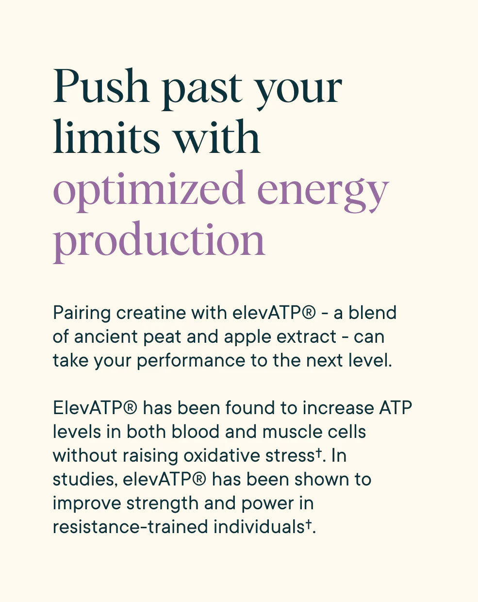 Muscle Memory Creatine Monohydrate