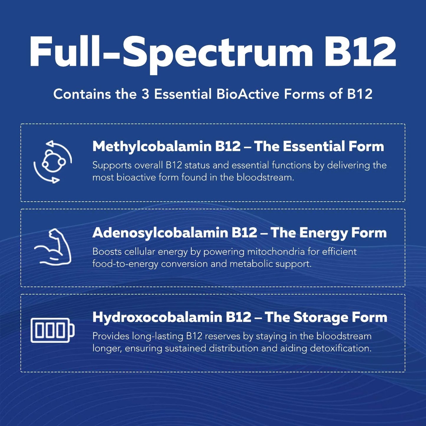BioActive Vitamin B-Complex