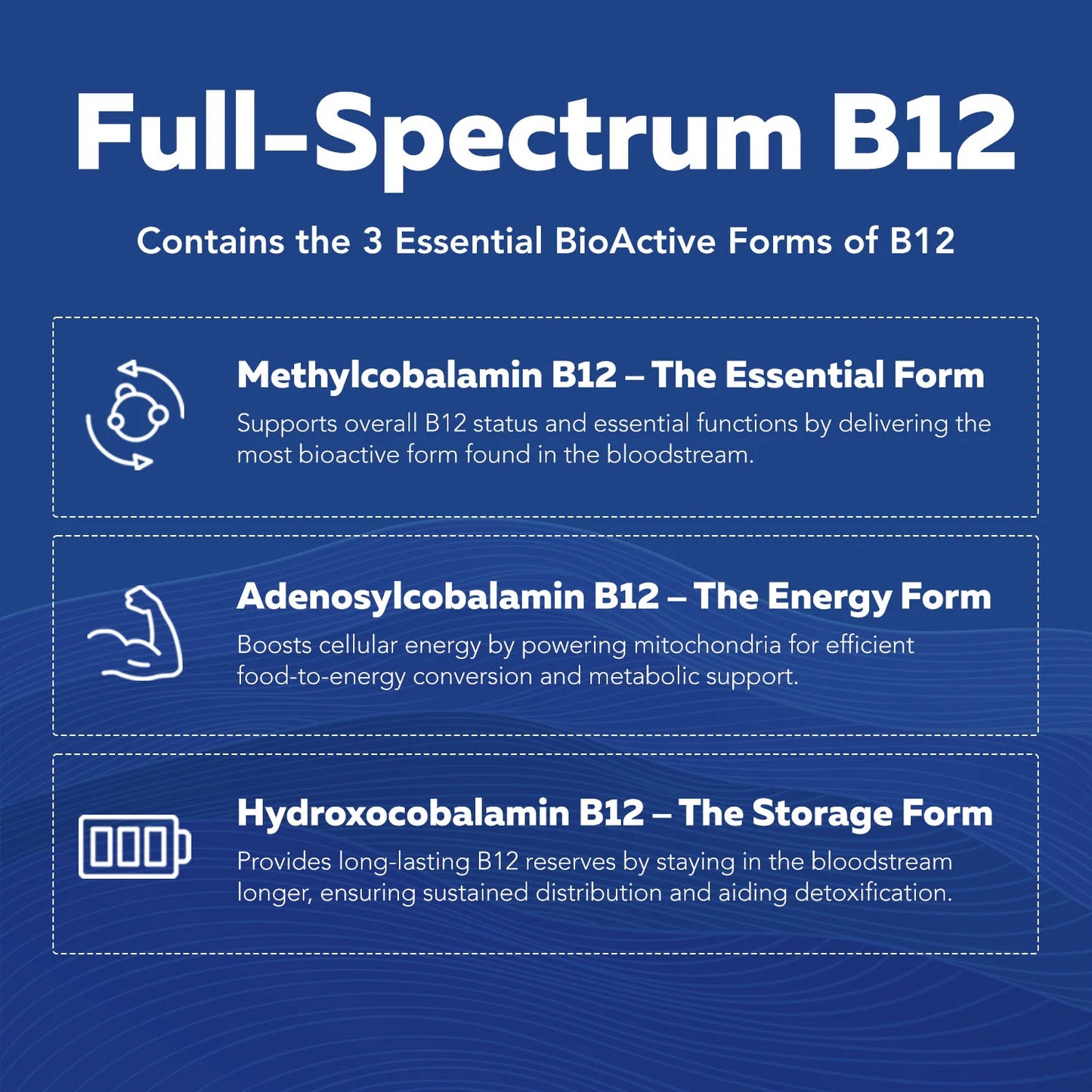 BioActive Vitamin B-Complex