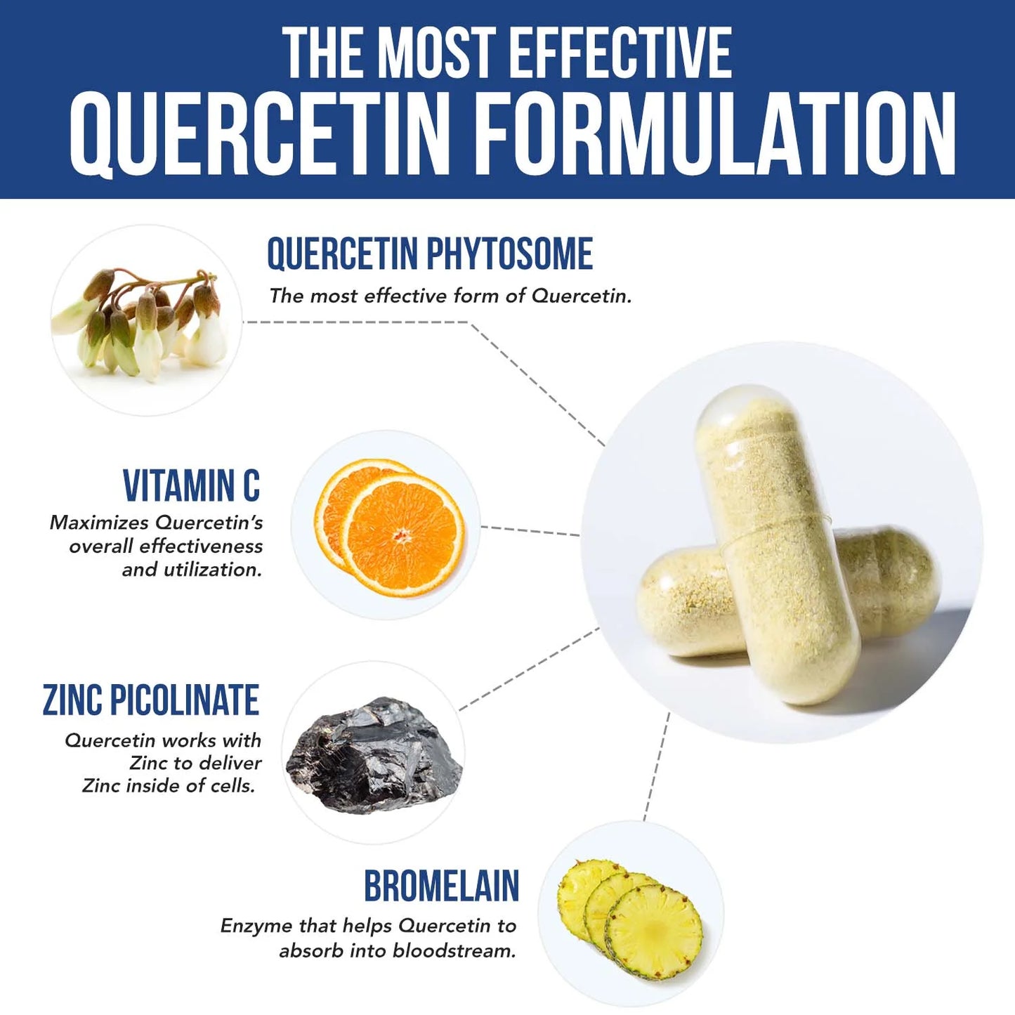 Quercetin Complete® Phytosome