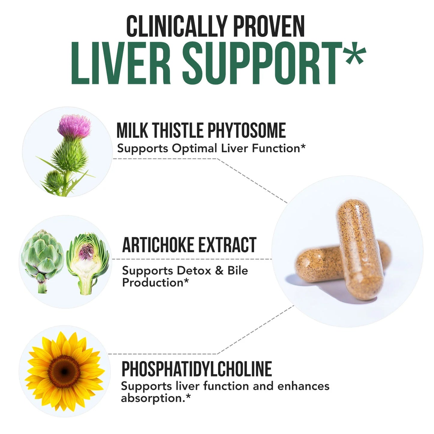 SoActive® Milk Thistle Phytosome