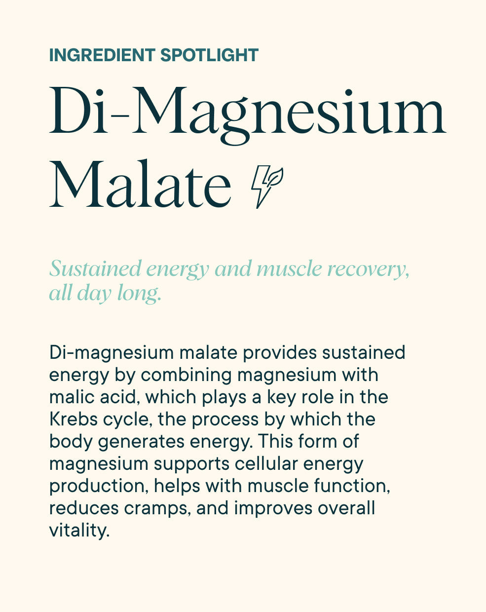 Magnificent 4-In-1 Magenesium