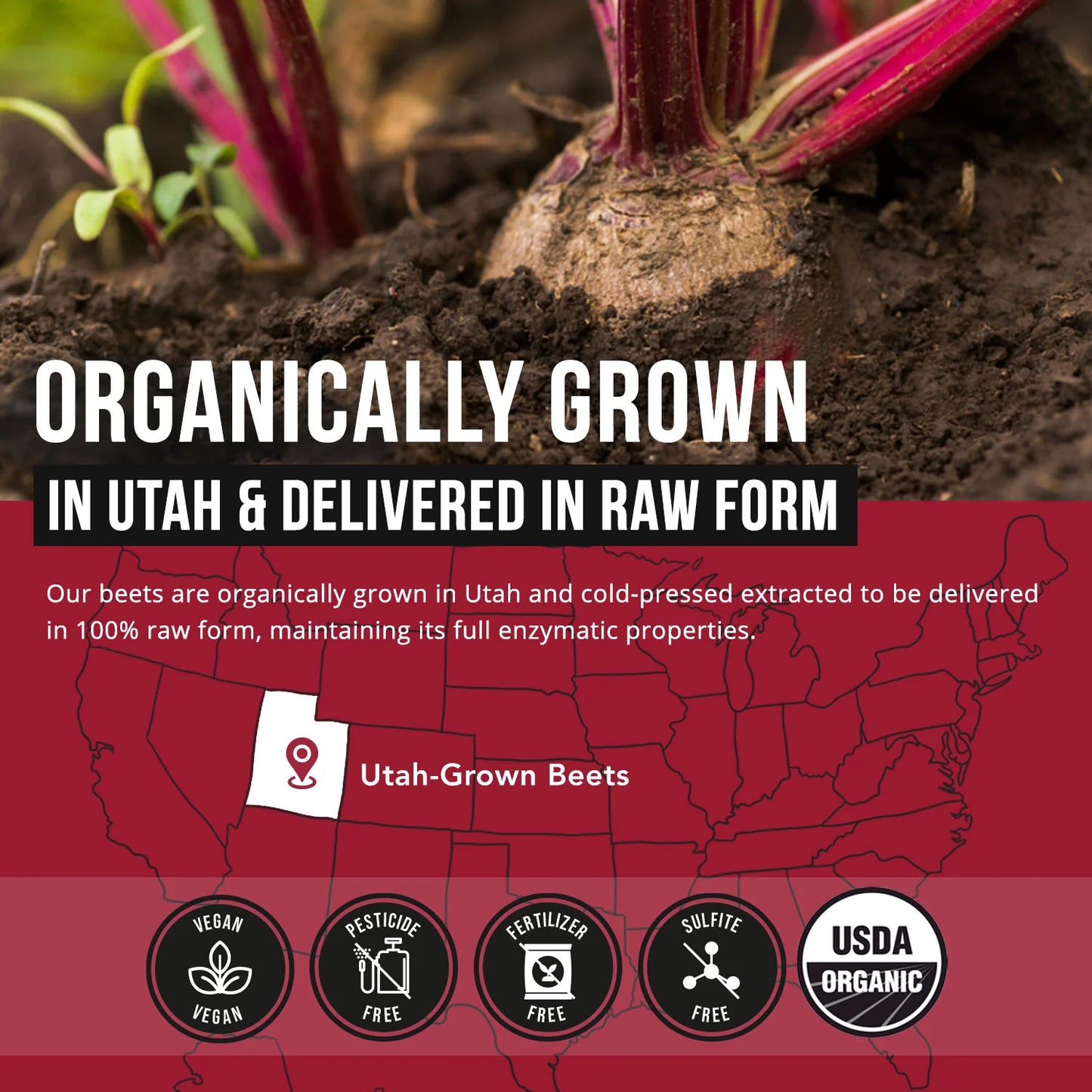BioBeet Beetroot Extract Organic