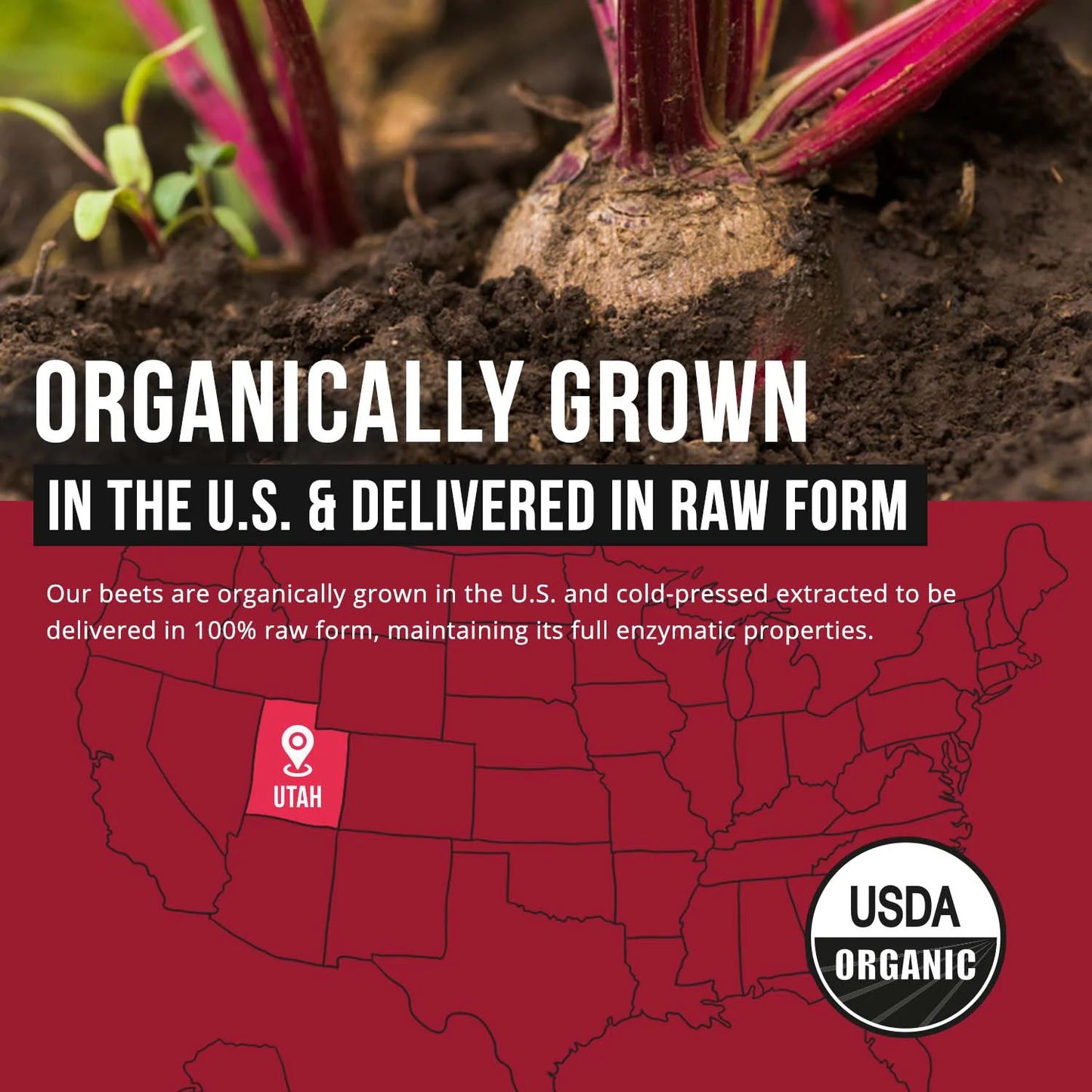 BioBeet Beetroot Juice Powder Organic