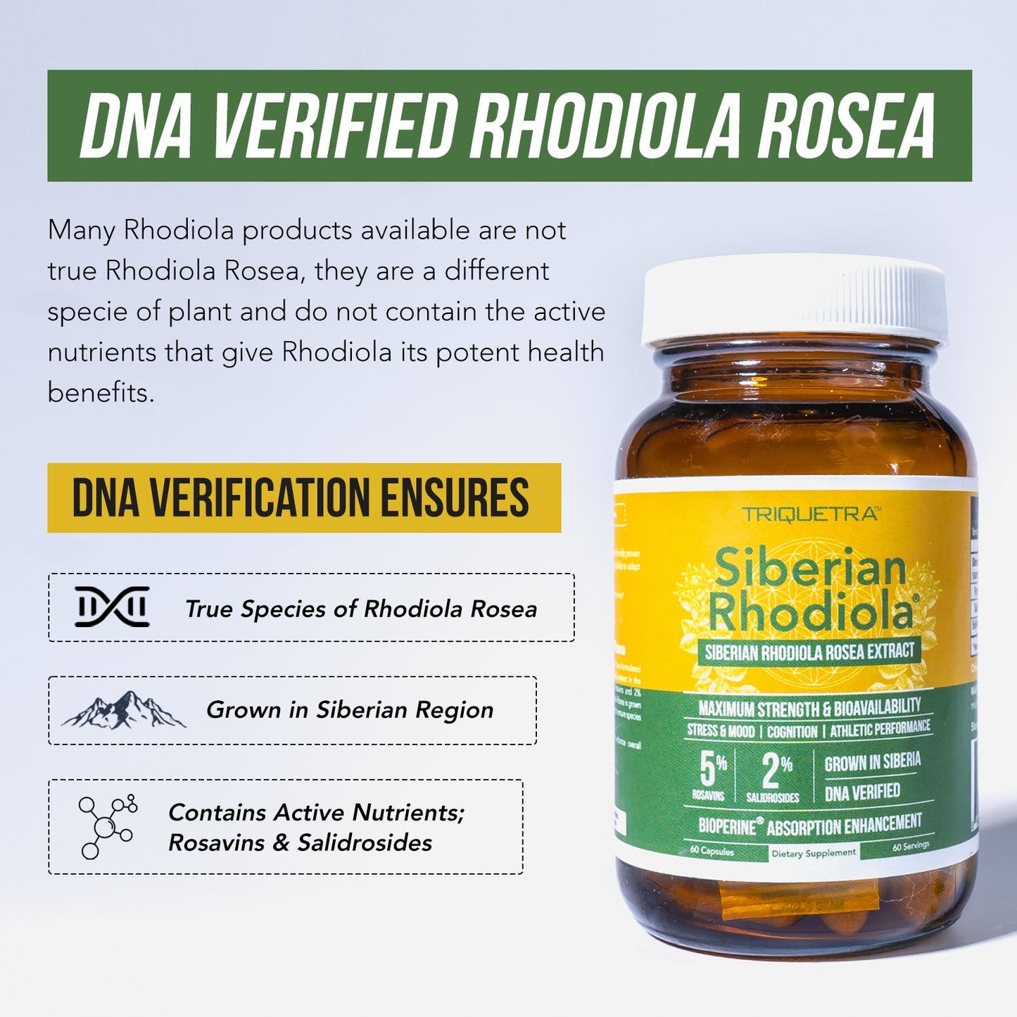 Siberian Rhodiola Rosea Extract