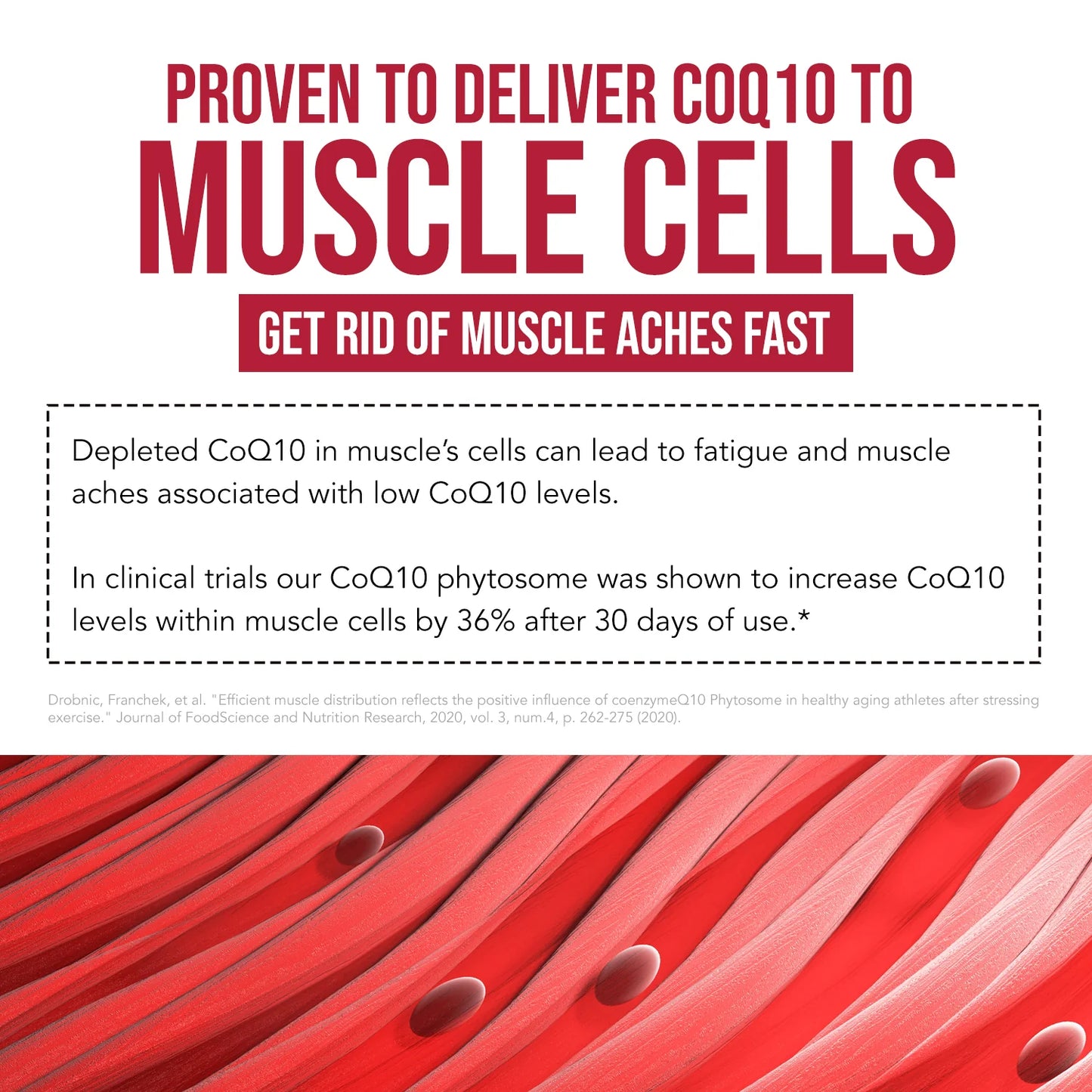 SoActive CoQ10 Phytosome Ubiqsome®