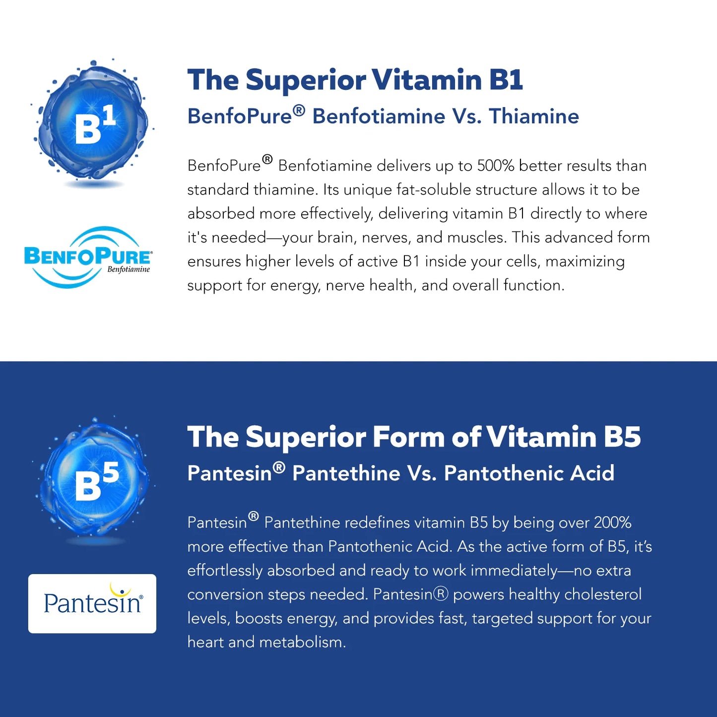 BioActive Vitamin B-Complex