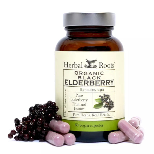 Black Elderberry Organic