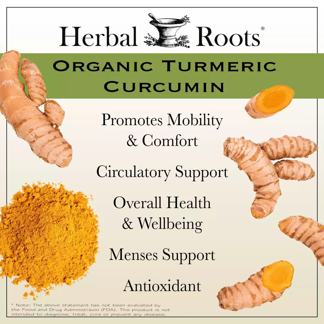 Turmeric Curcumin Organic