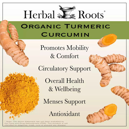 Turmeric Curcumin Organic
