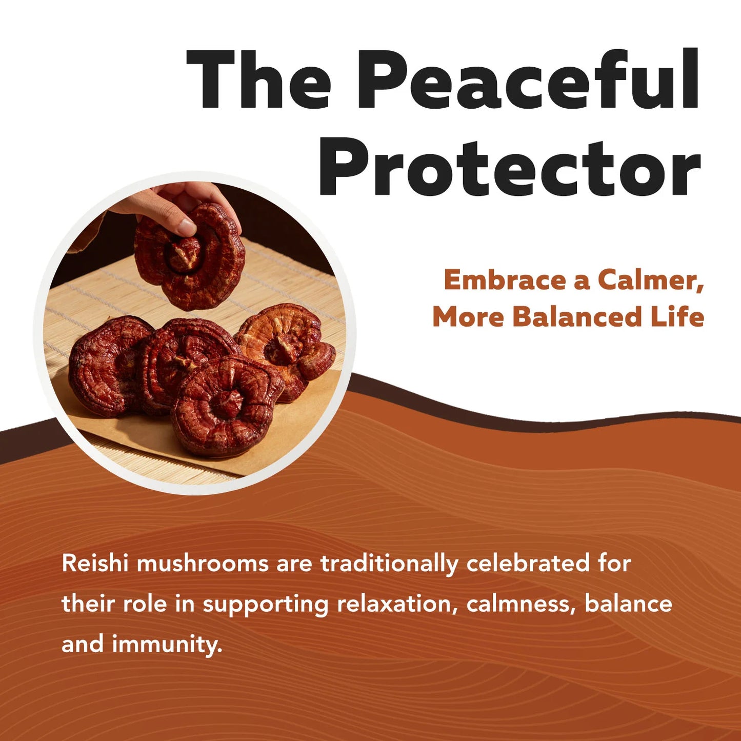 MycoMax Reishi Mushroom Extract Complex Organic
