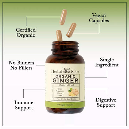 Ginger Root Organic