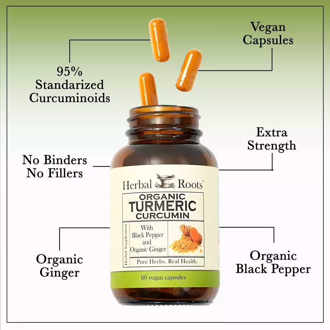 Turmeric Curcumin Organic