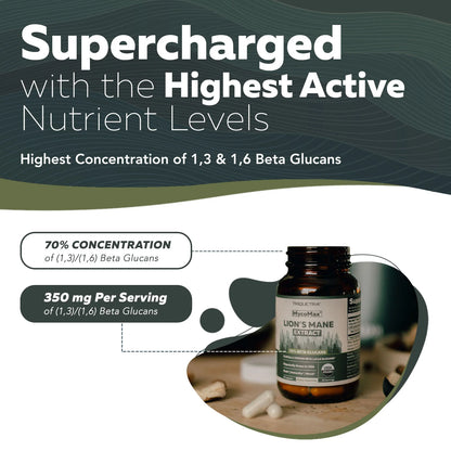 MycoMax Lion's Mane Mushroom Extract Organic