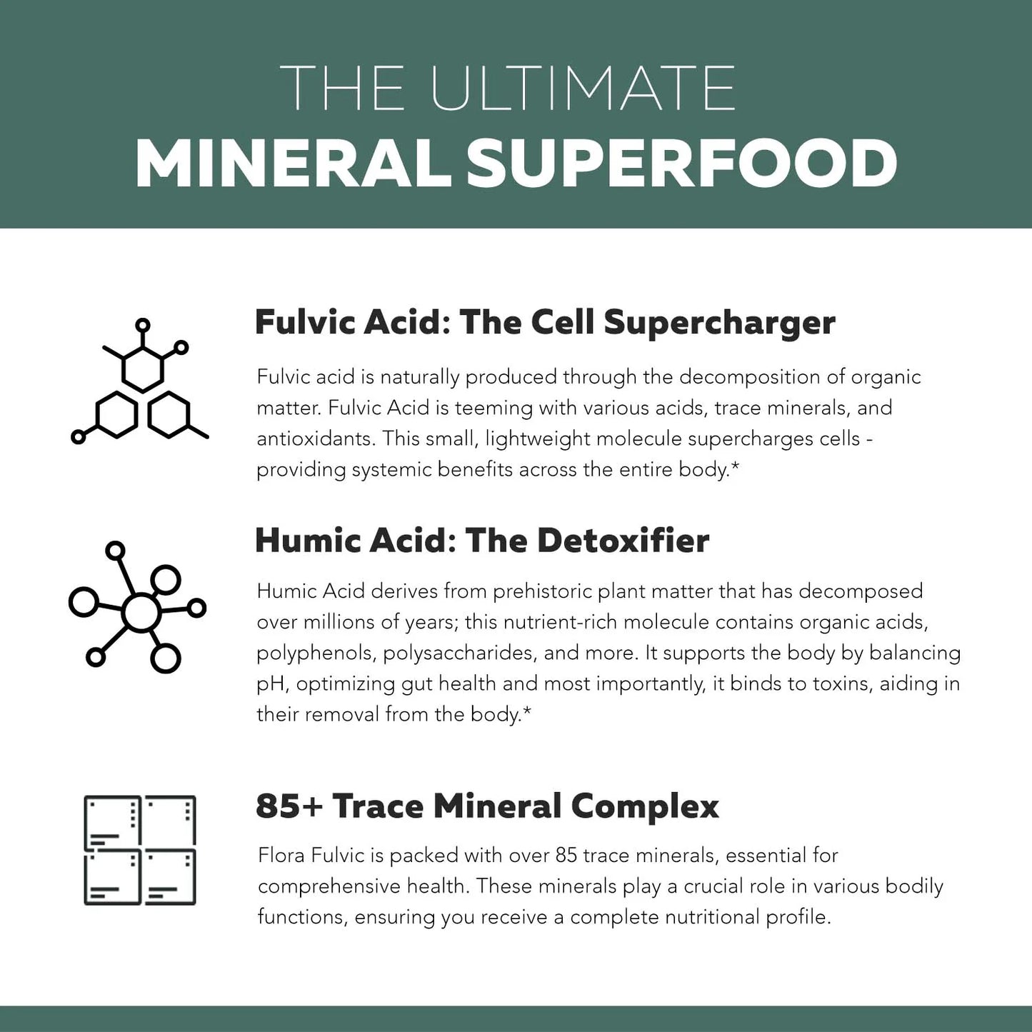 Triquetra Flora Fulvic + Humic Acid Complex Liquid