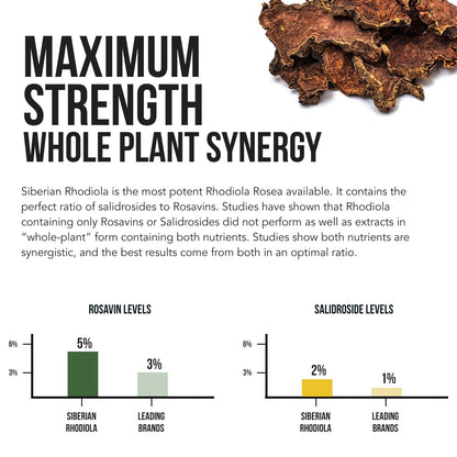 Siberian Rhodiola Rosea Extract