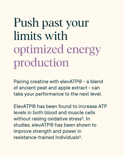Muscle Memory Creatine Monohydrate