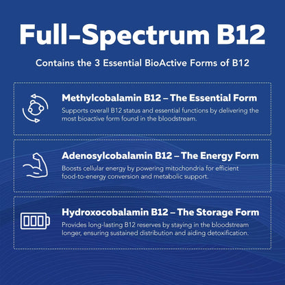 BioActive Vitamin B-Complex