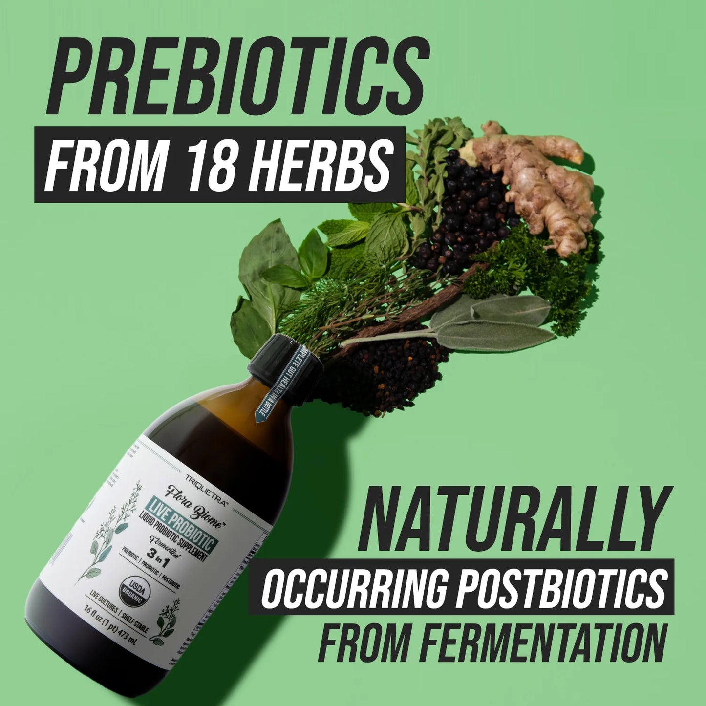 Flora Biome Live Probiotic Liquid Organic