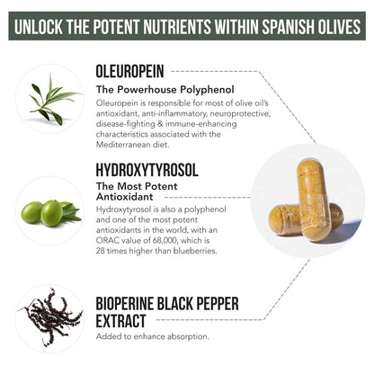 Total Olive Full-Spectrum Extract