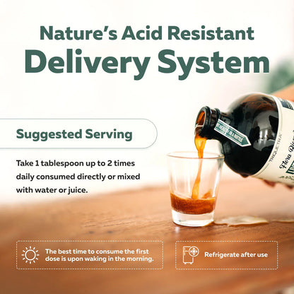 Flora Biome Live Probiotic Liquid Organic